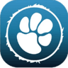 Giggling Paws & Pets