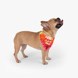 Groovy Pet Bandana