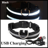 Rechargeable LED Glowing Adjustable Flashing Luminous Dog & Cat Collar